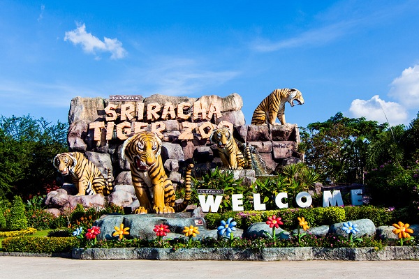 Tiger Zoo nổi tiếng của Thái Lan